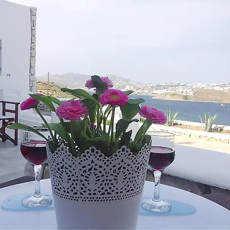 Lavish Apartment Agios Ioannis Diakoftis
